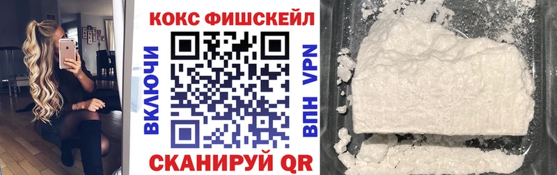 Cocaine FishScale  цены наркотик  Ярцево 