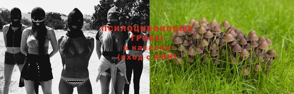 мет Шадринск