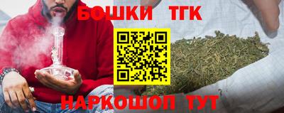прущие грибы Гусиноозёрск
