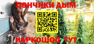 прущие грибы Гусиноозёрск