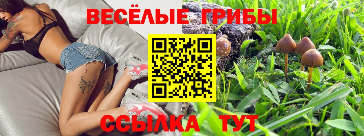 Галлюциногенные грибы прущие грибы Ярцево